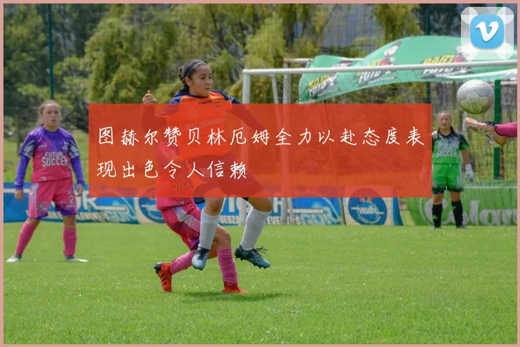 图赫尔赞贝林厄姆全力以赴态度表现出色令人信赖